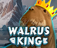 Walrus King