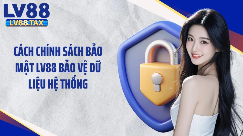 Cách chính sách bảo mật LV88 bảo vệ dữ liệu hệ thống