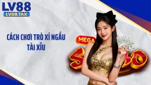 Cách chơi trò xí ngầu tài xỉu